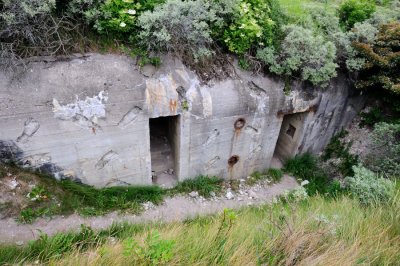 DSC_6308.jpg