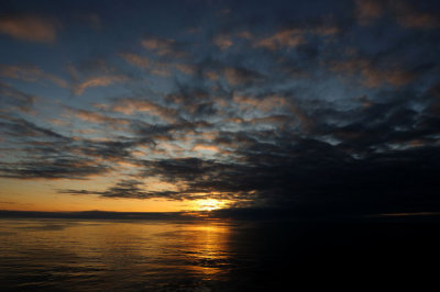 DSC_6350.jpg