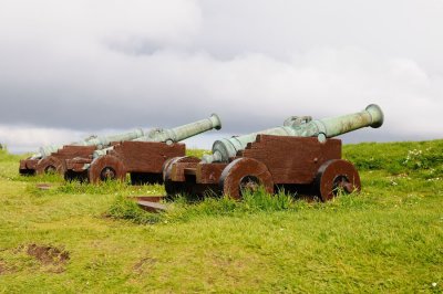 DSC_6445.jpg
