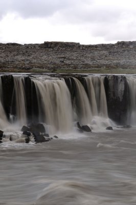 DSC_6666.jpg