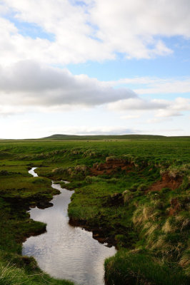 DSC_6729.jpg