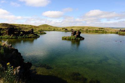 DSC_6817.jpg