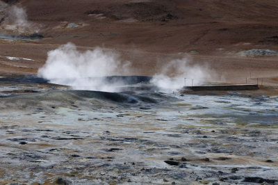 DSC_7015.jpg