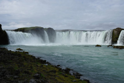 DSC_7110.jpg