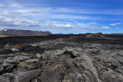 DSC_7221.jpg