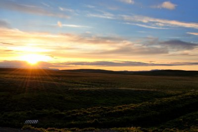 DSC_7302.jpg