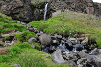 DSC_7384.jpg