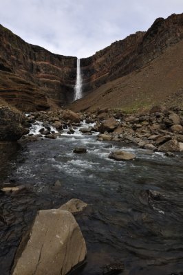DSC_7387.jpg