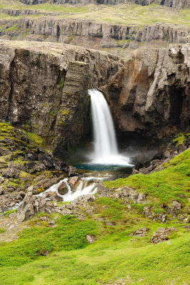 DSC_7431.jpg