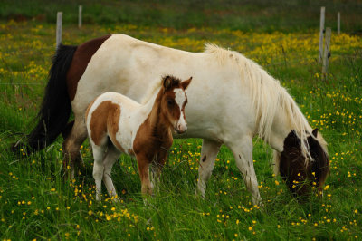 DSC_7481.jpg