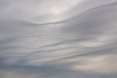 DSC_7503.jpg