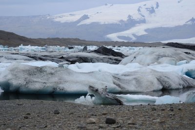 DSC_7604.jpg