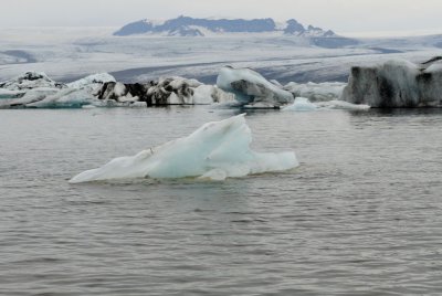 DSC_7618.jpg