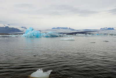 DSC_7645.jpg