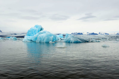 DSC_7651.jpg