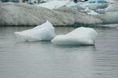 DSC_7660.jpg