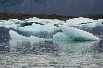 DSC_7667.jpg