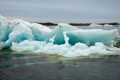 DSC_7696.jpg