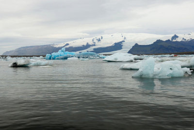 DSC_7700.jpg