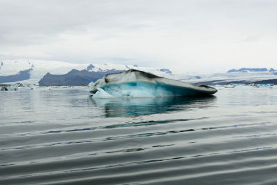 DSC_7710.jpg