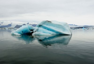 DSC_7726.jpg