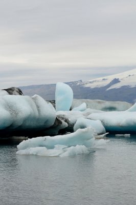 DSC_7734.jpg