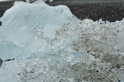 DSC_7775.jpg