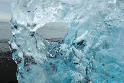 DSC_7784.jpg
