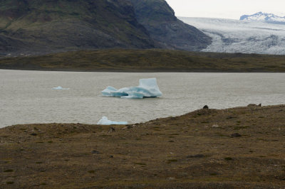 DSC_7833.jpg
