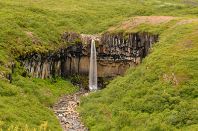 DSC_7863.jpg