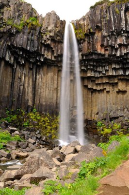 DSC_7865.jpg