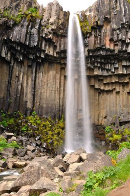 DSC_7867.jpg