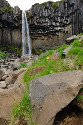 DSC_7875.jpg