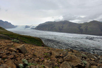 DSC_7890.jpg