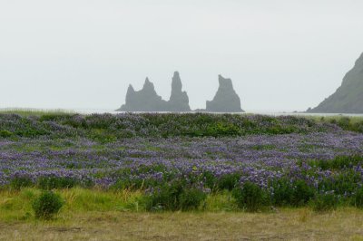DSC_8051.jpg