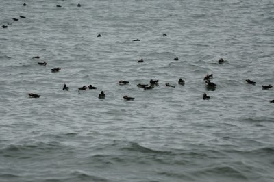 DSC_8079.jpg