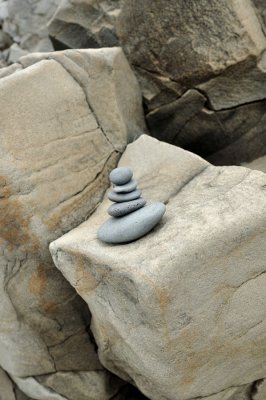 DSC_8134.jpg