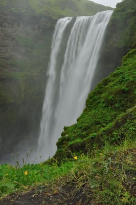 DSC_8250.jpg