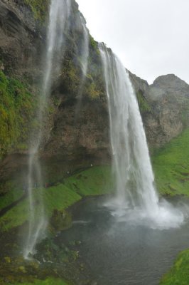 DSC_8264.jpg