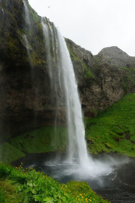 DSC_8278.jpg