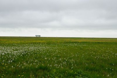 DSC_8283.jpg