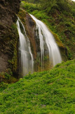 DSC_8286.jpg