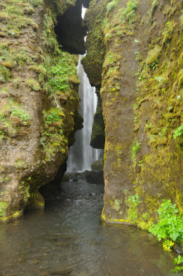 DSC_8289.jpg