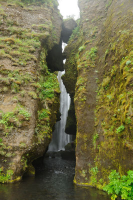 DSC_8294.jpg
