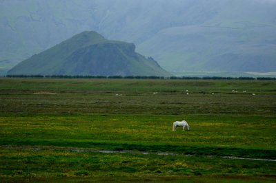 DSC_8325.jpg