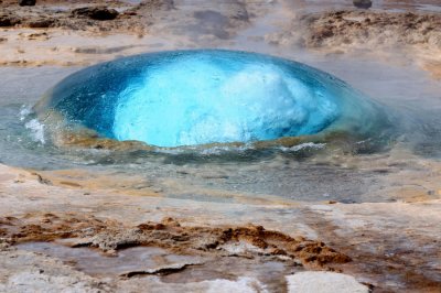 DSC_8544.jpg