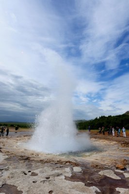 DSC_8559.jpg