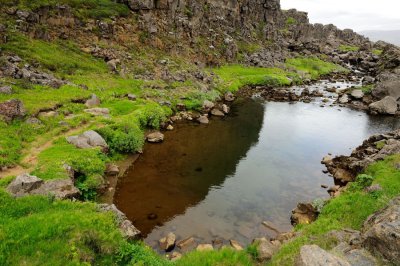 DSC_8638.jpg