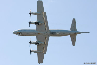 RAAF P3-C Orion - 3 Oct 08