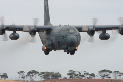 RAAF C-130H Hercules - Avalon Airshow - 12 Mar 09